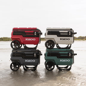 COOLER IGLOO COM RODAS - 70L